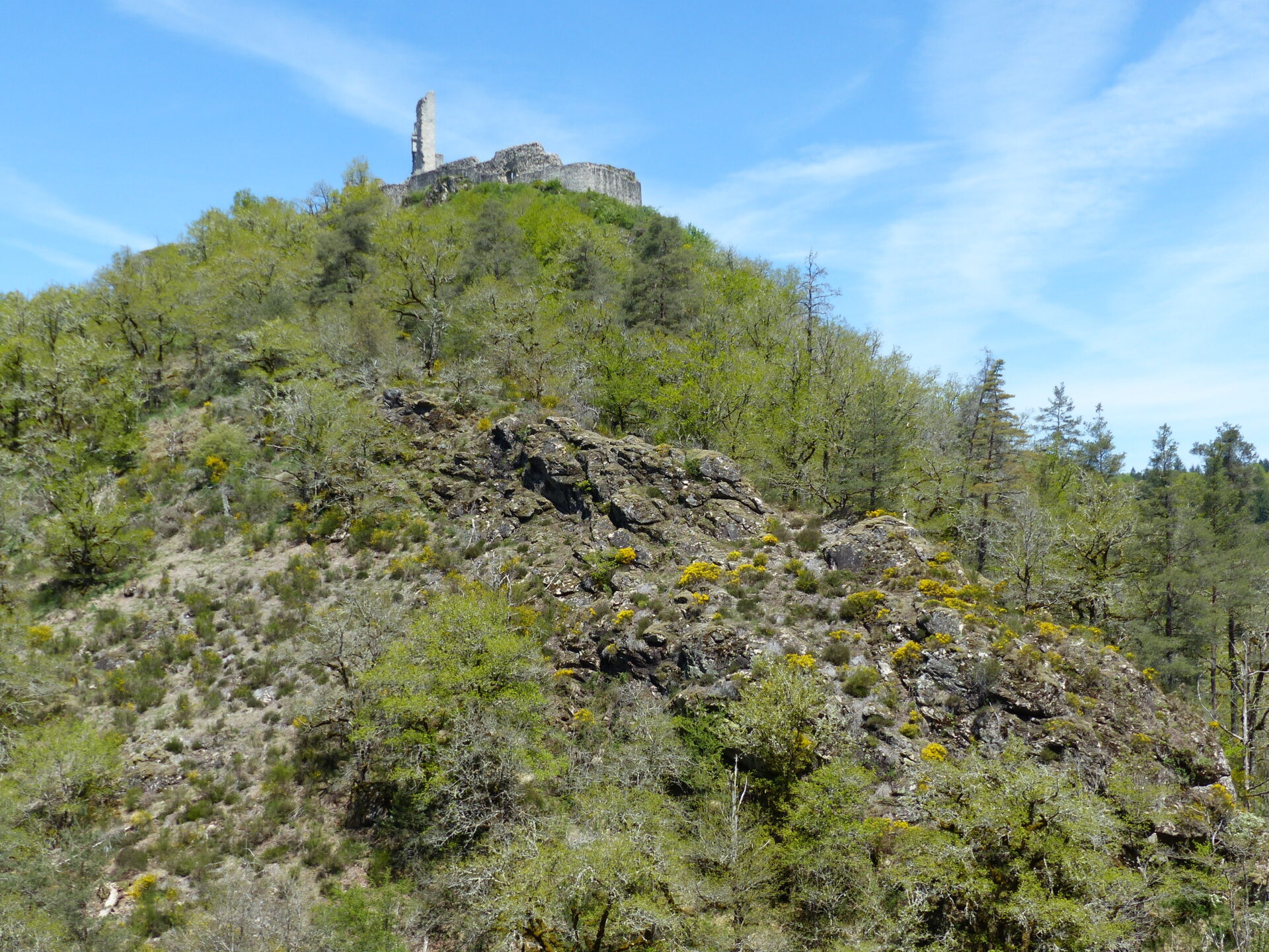 Vue du Château de Ventadour en contre plongée. Les ruines du Château sont visibles sur le haut de la photo. Au premier plan s'aperçoivent forêts de pentes et de ravins.